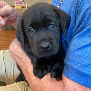 Meet your Posher, Joan